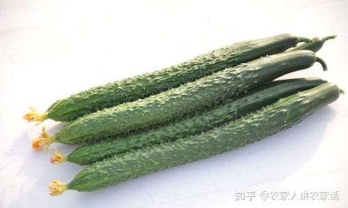 西瓜和谁相克-【西瓜和什么相克不能同吃】西瓜和谁相克 - 西瓜和什么食物相克网